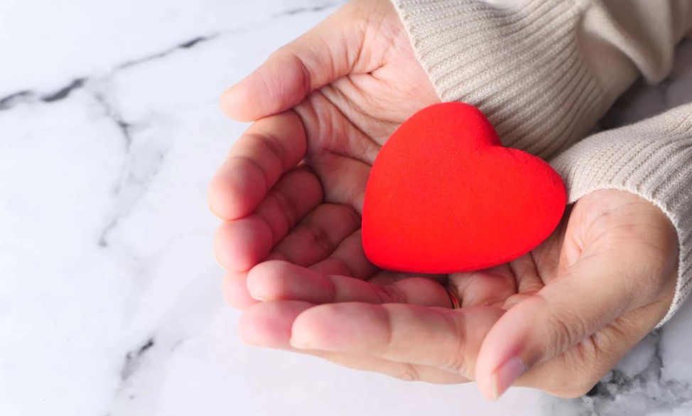 Image of hands holding red heart in palms