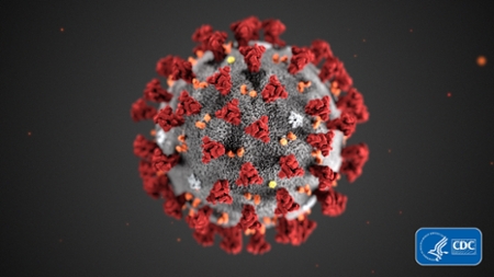 coronavirus-image.jpg