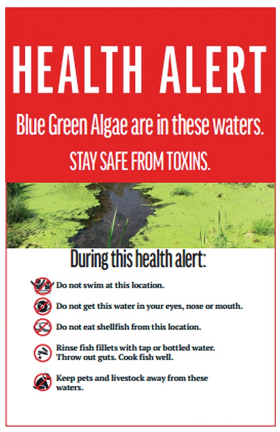 Health Alert - Blue Green Algae are in these waters. Stay safe from toxins, During  this health alert: Do not swim at this location. Do not get this water in your eyes, nose or mouth. Do not eat shellfish from this location. Rinse fish fillets with tap or bottled water. Throw out guts. Cook fish well. Keep pets and livestock away from these waters.