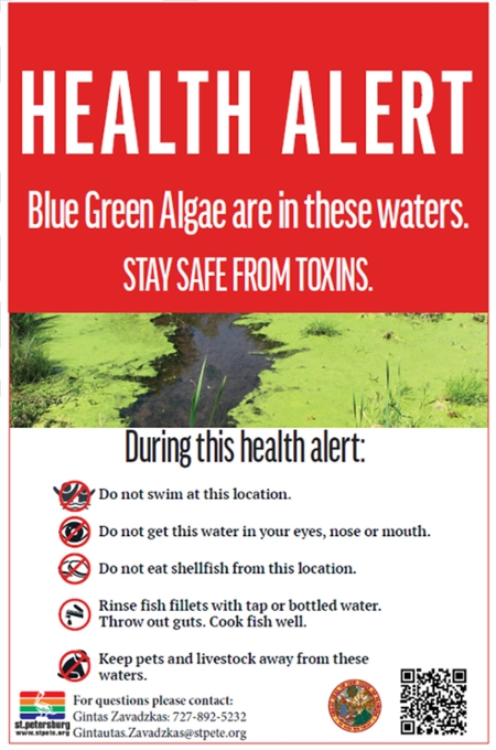 health alert blue green algae