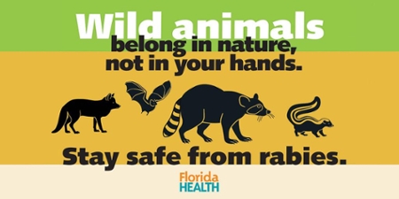 DOH REMINDS RESIDENTS TO AVOID CONTACT WITH STRAY PETS AND WILDLIFE |  Florida Department of Health in Pinellas