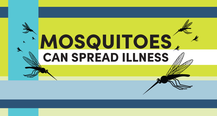 Mosquitoes can spread illness